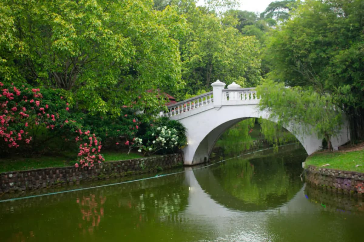A white arched footbridge over a still green stream in a Kuala Lumpur park, with trees and pink flowering shrubs